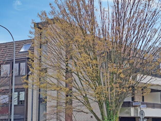 Wohnung zum Kauf 279.000 € 3 Zimmer 76 m² Rüttenscheid Essen 45131