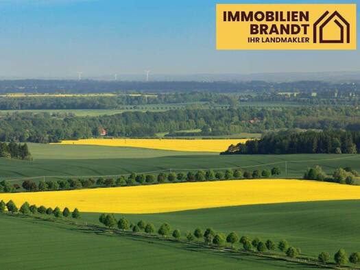 Landwirtschaftliche Fläche zum Kauf 10.000 m² Grundstück Selsingen 27446