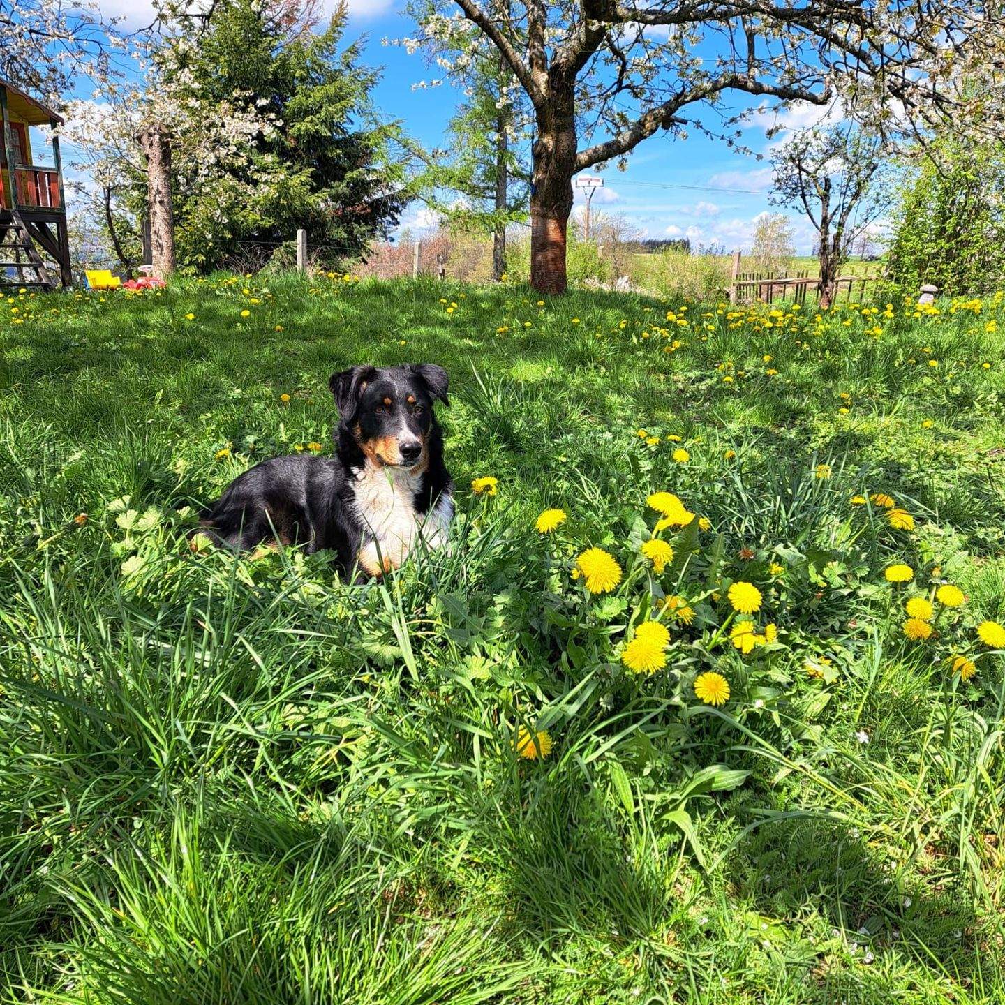 Immobilie in Leutenberg - Ein Haus voller Ideen mit Garten für junges Gemüse - Bild 4