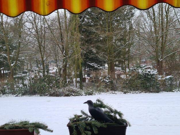 Wohnung zum Kauf 216.000 € 2 Zimmer 60 m² Bierstadt Wiesbaden 65191