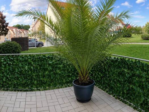 Wohnung zur Miete 390 € 2 Zimmer 63 m² Geschoss EG/3 frei ab sofort Leubnitz Werdau 08412