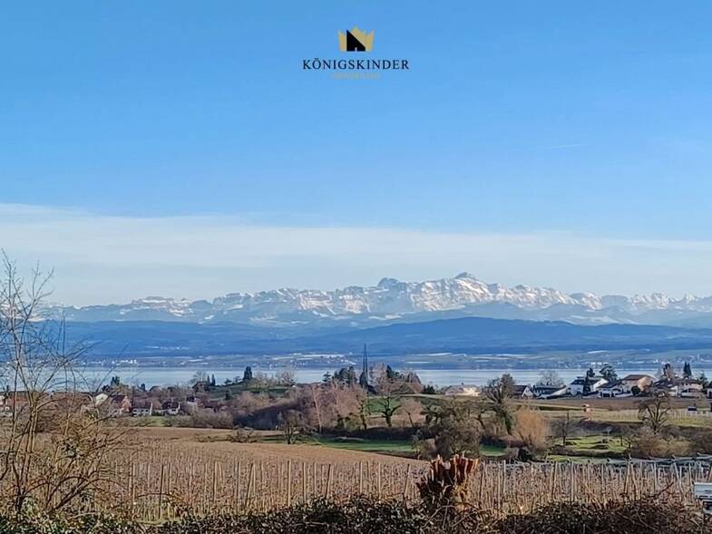 Grundstück zum Kauf 699.000 € 590 m² Grundstück Riedetsweiler Meersburg-Riedetsweiler 88709