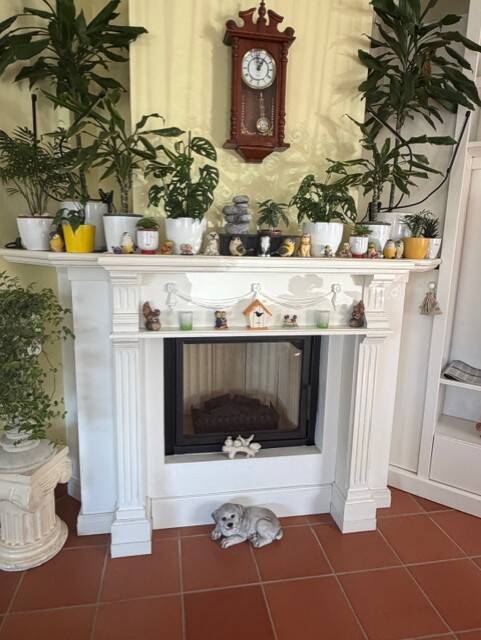 Immobilie in Bad Bevensen - 2 in 1 = wohnen im Bungalowstyle + ebenerdige Einliegerwohnung  - Bild 4