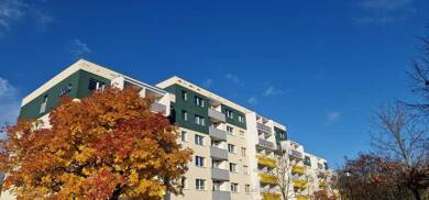 Wohnung zur Miete 379 € 2 Zimmer 47,1 m² 3. Geschoss Kreuzerstraße 10 Silberhöhe Halle 06132