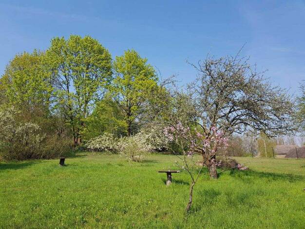 Grundstück zum Kauf provisionsfrei 1.287.000 € 2.679 m² Grundstück Töplitz Werder (Havel) OT Leest 14542