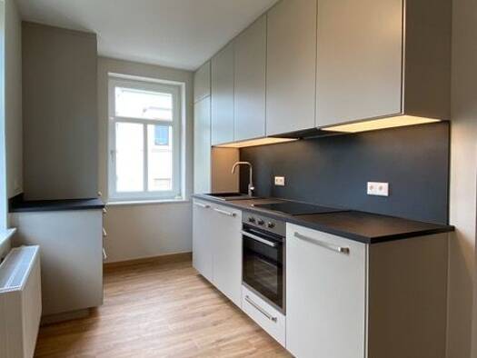 Wohnung zur Miete 540 € 2 Zimmer 55 m² 1. Geschoss Oberplanitz Zwickau 08064