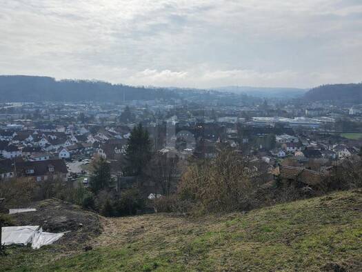 Freizeitgrundstück zum Kauf 110.000 € 959 m² Grundstück Hauingen Lörrach 79541
