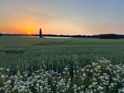 Wohnung zur Miete 1.259 € 3,5 Zimmer 106,1 m² 1. Geschoss frei ab 01.02.2026 Weetzener Straße 12 Sorsum Wennigsen (Deister) 30974
