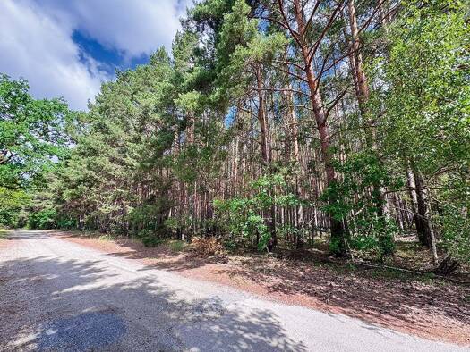 Grundstück zur Versteigerung 5.000 € 80.040 m² Grundstück Leippe Lauta 02991