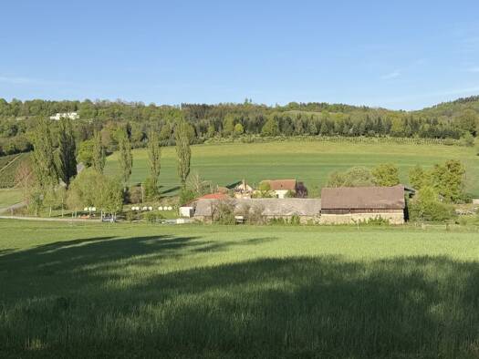 Reiterhof zum Kauf 210.365 m² Grundstück Bernstein 7434