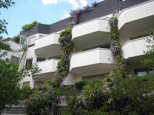 Terrassenwohnung zum Kauf provisionsfrei 285.000 € 3 Zimmer 80 m² Geschoss 3/4 frei ab sofort Geleitsstraße 34 Offenbach am Main Offenbach am Main 63065