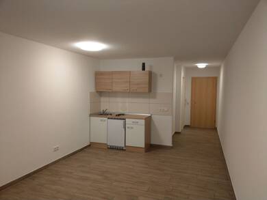 Wohnung zur Miete 400 € 1 Zimmer 29,5 m² EG frei ab sofort Sondernheim Germersheim 76726
