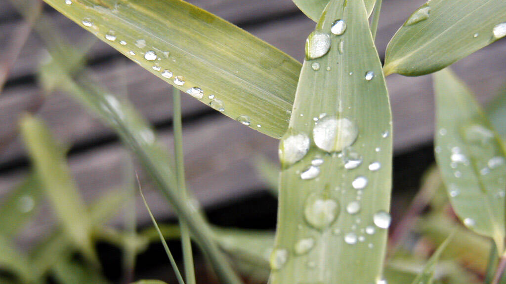 Landwirtschaftliche Fläche zum Kauf 20.677 m² Grundstück Gammersfeld Wellheim 91809