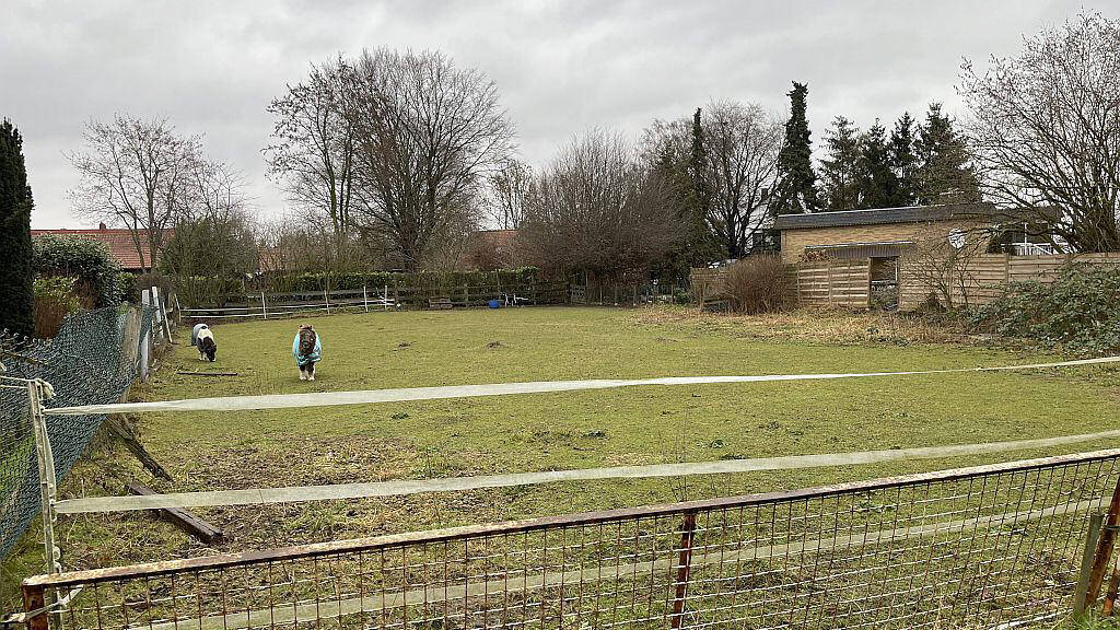 Grundstück zum Kauf 85.000 € 810 m² Grundstück Frille Petershagen 32469