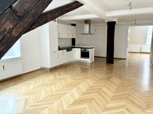 Wohnung zur Miete 856 € 2 Zimmer 90,1 m² 3. Geschoss Innere Stadt Graz 8010