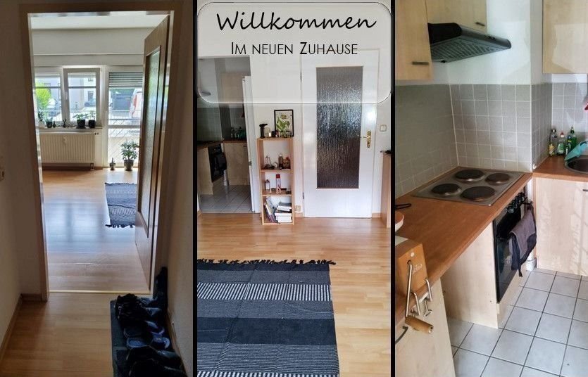 Wohnung zur Miete 210 € 1 Zimmer 33 m²<br/>Wohnfläche EG<br/>Geschoss Julius-Fucik-Straße 4 Schloßberg Plauen 08523