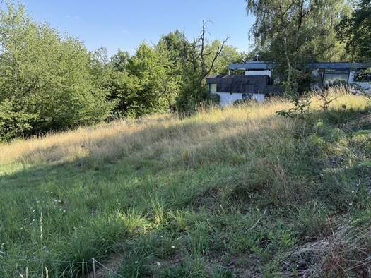 Grundstück zum Kauf provisionsfrei 126.500 € 1.100 m² Grundstück frei ab sofort Am Unterscheid (Reitzenhagen) 2 Bad Wildungen Bad Wildungen 34537