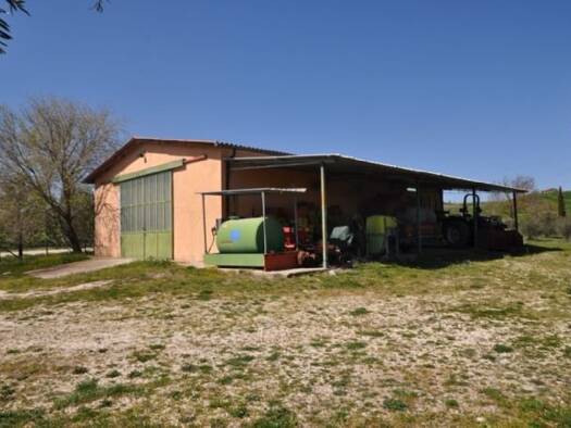 Weingut zum Kauf 500 m² 120.000 m² Grundstück Saturnia 58014