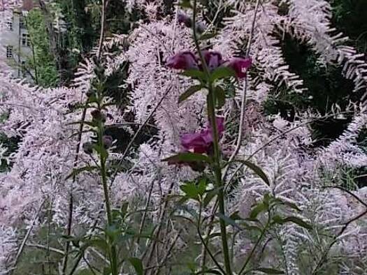 Wohnung zum Kauf provisionsfrei 320.000 € 2 Zimmer 62 m² Geschoss 1/3 Reinickendorf Berlin 13407