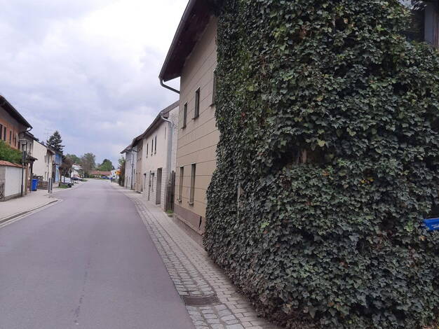 Einfamilienhaus zum Kauf provisionsfrei 160.000 € 7 Zimmer 96 m² 320 m² Grundstück Massing Massing 84323