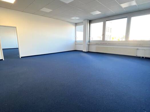 Büro zur Miete provisionsfrei 8,50 € 197,2 m² Bürofläche Löffelholzstr.20 Gibitzenhof Nürnberg 90441