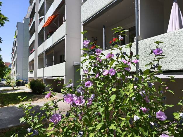 Wohnung zur Miete 313 € 2 Zimmer 47,9 m² Losinskiweg 9 Schönefeld-Ost Leipzig 04347