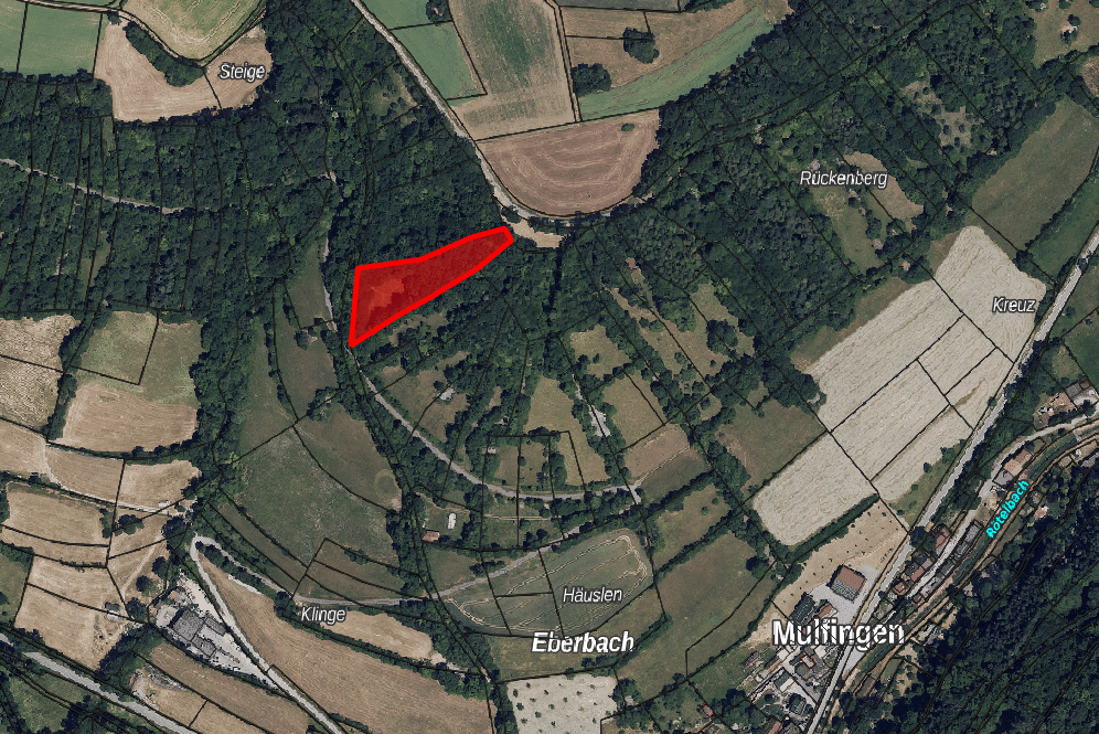 Immobilie zum Kauf provisionsfrei 5.000 € 4.186 m²<br/>Fläche Mulfingen Mulfingen 74673