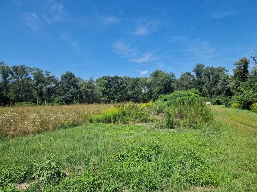 Land-/Forstwirtschaft zum Kauf 65.000 € 9.841 m² Grundstück Hausleiten 3464