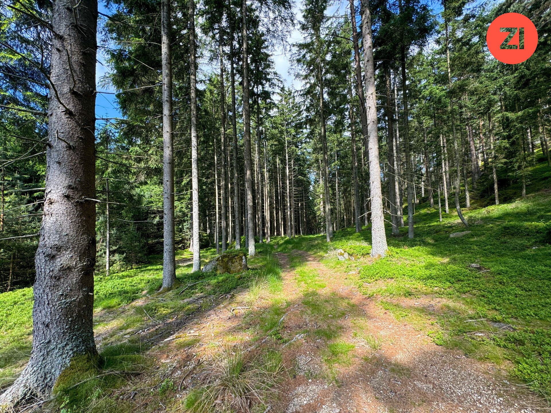 Land-/Forstwirtschaft zum Kauf 77.000 € Rehberg 4294