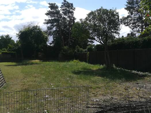 Freizeitgrundstück zur Miete provisionsfrei 250 € 250 m² Grundstück Torweg 141 c Spandau Berlin 13591