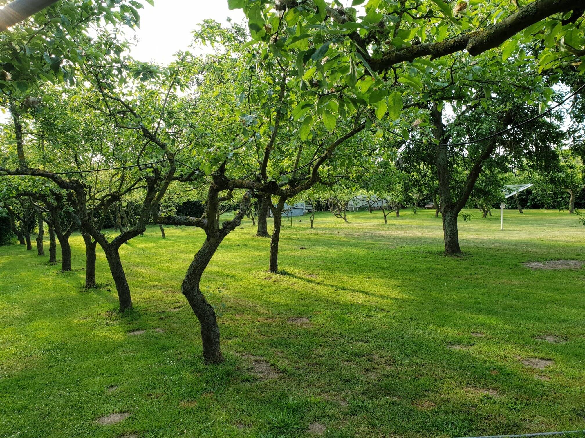 Property thumbnail 34