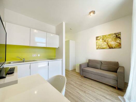 Studio zur Miete 450 € 1 Zimmer 23 m² 3. Geschoss frei ab 01.02.2026 Blumenstr. 6 Gleißbühl Nürnberg 90402