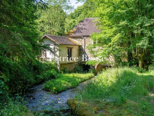 Reihenmittelhaus zum Kauf 330.000 € 3 Zimmer 130 m² 10.214 m² Grundstück Thiviers 24800