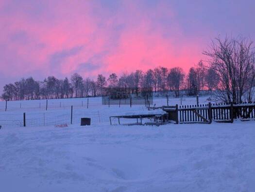 Bauernhaus zum Kauf 179.000 € 5 Zimmer 150 m² 5.000 m² Grundstück Leupoldsdorf Tröstau / Leupoldsdorf 95709
