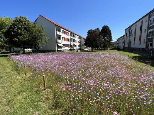 Wohnung zur Miete 625 € 3 Zimmer 65,8 m² 2. Geschoss frei ab 01.02.2026 Dänemarkstraße 7 Travemünde Lübeck 23570