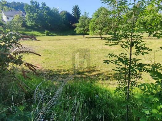 Grundstück zum Kauf 150.000 € 730 m² Grundstück Oberbalzheim Balzheim 88481