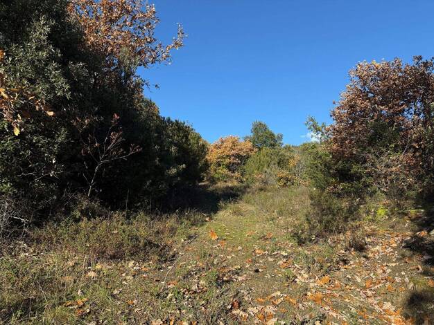 Grundstück zum Kauf 10.000 m² Grundstück Massa Marittima 58024