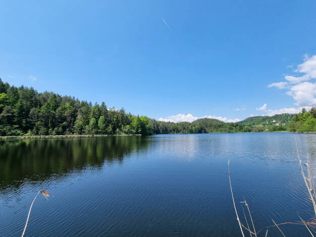 Einfamilienhaus zum Kauf 595.000 € 240 m² 900 m² Grundstück Velden am Wörther See 9220
