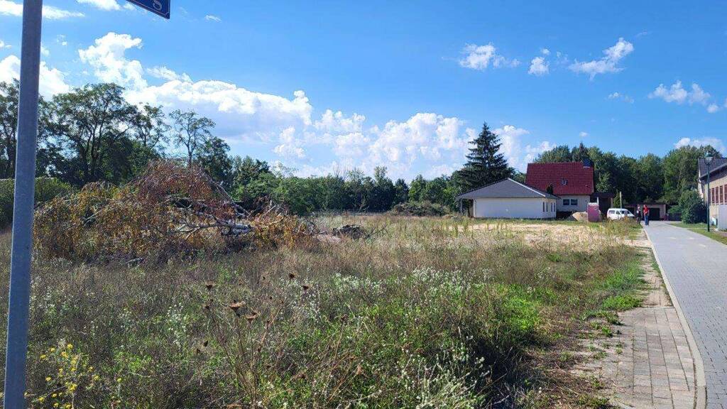 Grundstück zum Kauf provisionsfrei 59.990 € 549 m² Grundstück Oegeln Beeskow 15848