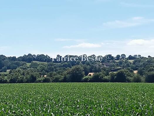 Einfamilienhaus zum Kauf 350.000 € 15 Zimmer 221 m² 12.540 m² Grundstück Belle Étoile-2ème Db-Coulandon Argentan 61200