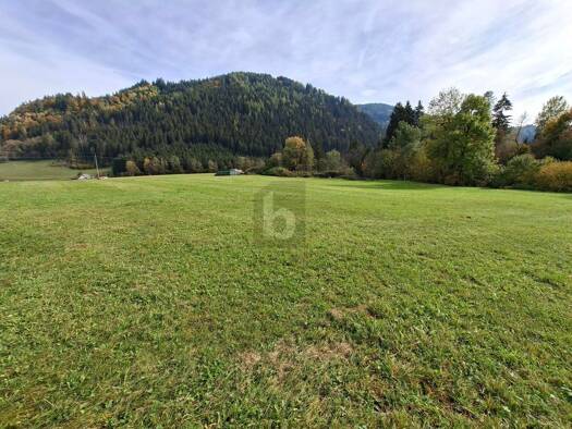 Gewerbegrundstück zum Kauf 79.000 € 1.000 m² Grundstück Feldkirchen in Kärnten 9560