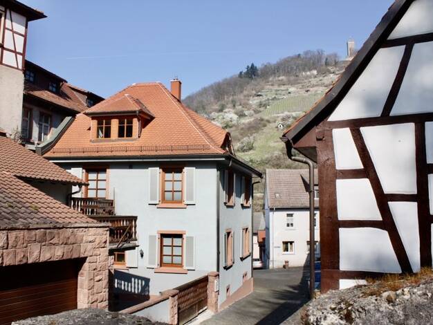 Haus zum Kauf 599.500 € 5 Zimmer 121 m² 202 m² Grundstück Heppenheim Heppenheim (Bergstraße) 64646