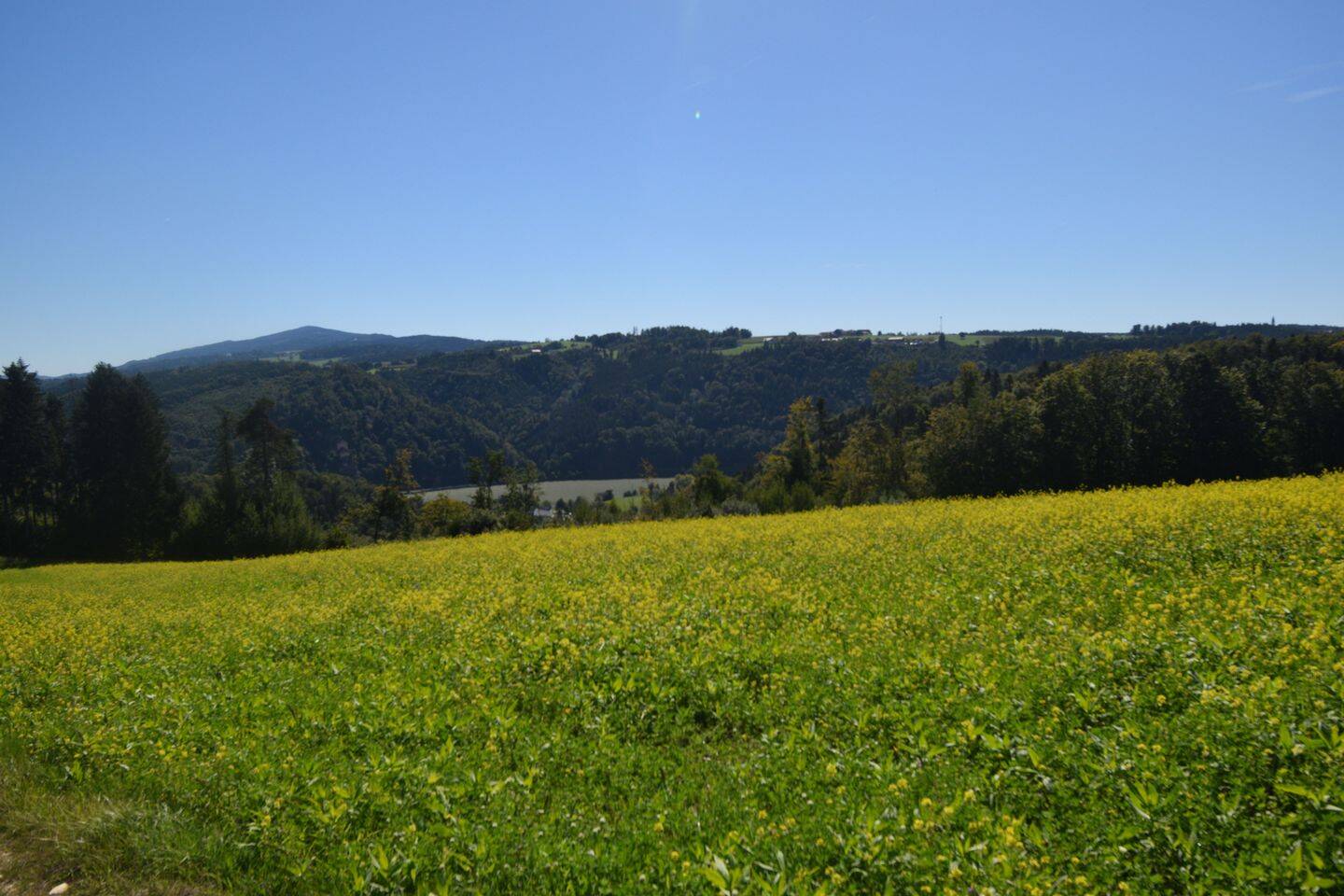 Land-/Forstwirtschaft zum Kauf - Ansicht 3