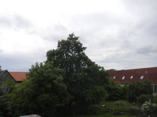 Wohnung zur Miete 300 € 3 Zimmer 60,4 m² 1. Geschoss Warlin Sponholz 17039