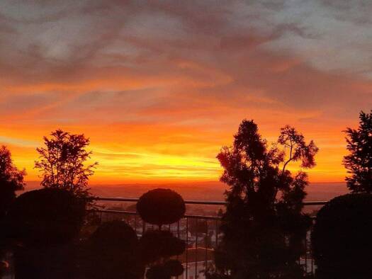 Penthouse zum Kauf 1.150.000 € 5,5 Zimmer 193,5 m² Weingarten 88250