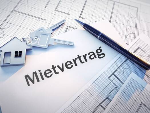 Wohnung zur Miete 780 € 2 Zimmer 63 m² Schneverdingen 29640