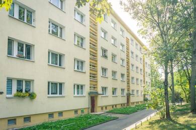Wohnung zur Miete 257 € 2 Zimmer 46,7 m² 1. Geschoss Parkstr. 48a Kapellenberg Chemnitz 09120