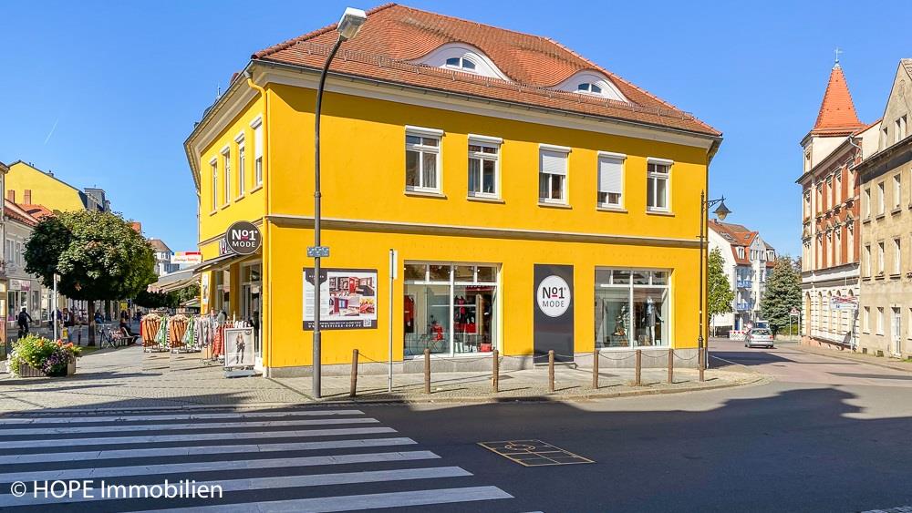 Mehrfamilienhaus zum Kauf 1.380.000 € 15 Zimmer 264 m²<br/>Wohnfläche 427 m²<br/>Grundstück Innenstadt Riesa 01589