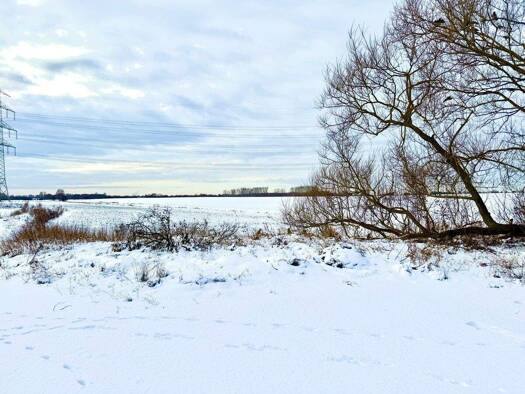 Grundstück zum Kauf 125.000 € 409 m² Grundstück Lindenberg Ahrensfelde / Lindenberg 16356