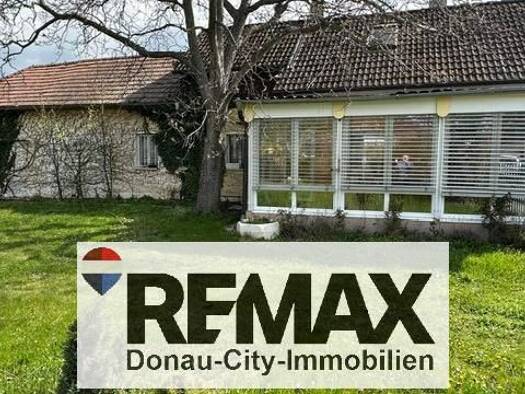 Einfamilienhaus zum Kauf 7 Zimmer 195 m² 1.203 m² Grundstück Wiener Neudorf 2351